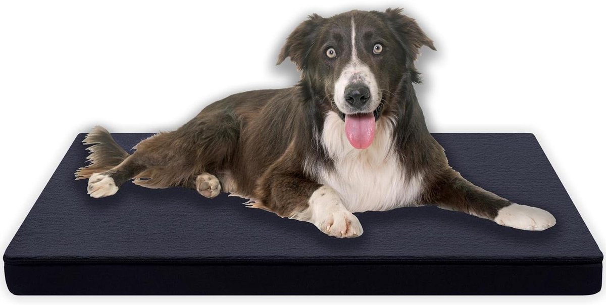 Hondenkussen Orthopedisch - Hondenmat Comfort - Ontspannen Rusten - Wasbare Overtrek - 80 x 60 cm - Grijs