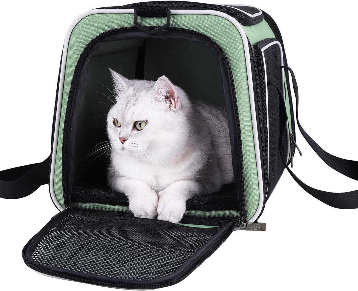 Dieren Transportbox - Reismand Kat - Veilig Vervoer - Top Opening - 43x28x28 cm - Munt