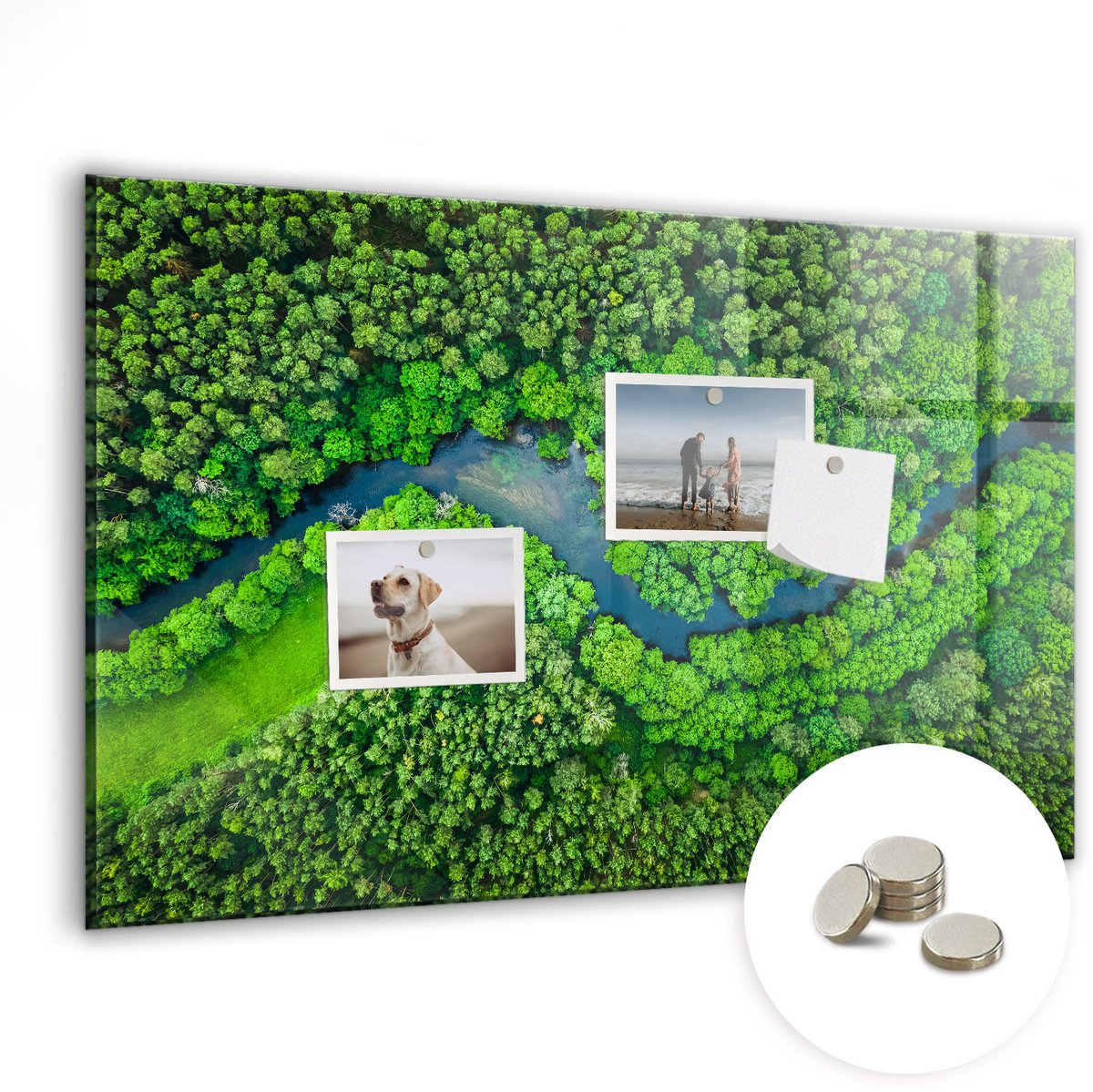 Coloray Glazen Magneetbord - Magnetisch Bord Rivier in het bos - 60x40 cm - Groente Magneetbord - Magnetic Board - Woonkamer Decoratie