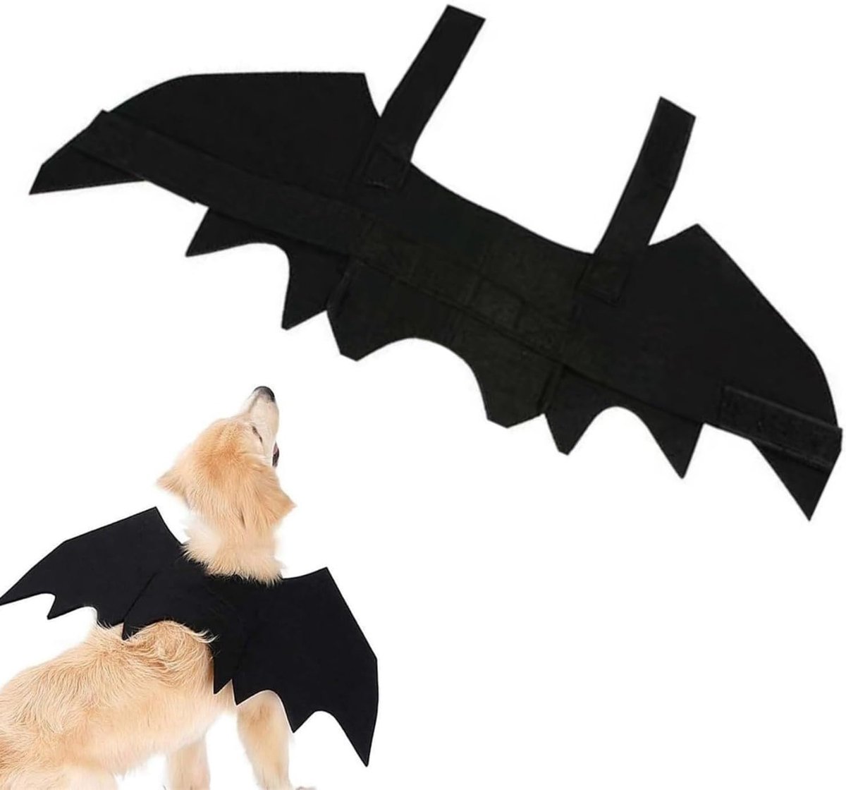 Halloween Pet Costume Bat Wings for Dogs/Cats, Pet Bat Costume - ShopVlot