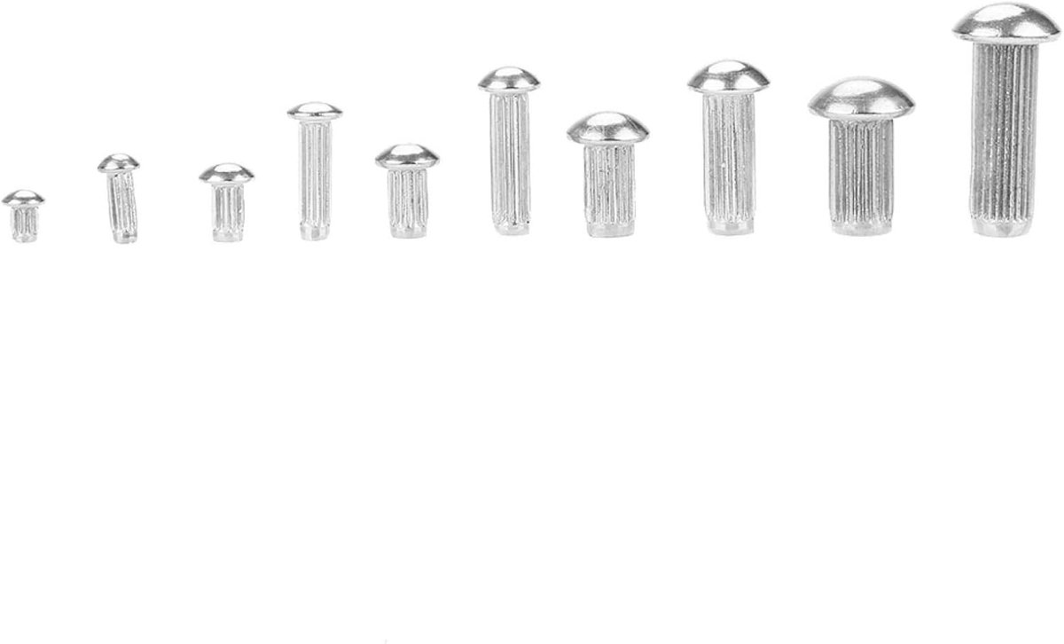 SnelShoppen - Rvs Popnagels Assortiment Kit Rond Hoofd Knurled Shank Rivet voor Labels Naamplaten Bevestiging met Plastic Doos 160 Stuks Diverse Maten