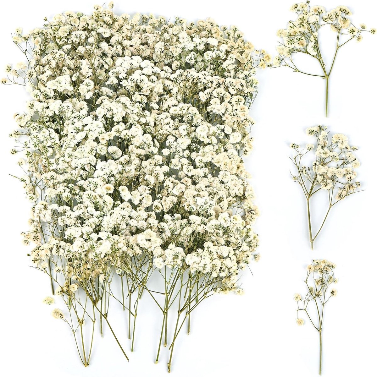 100 Stuks Gedroogde Gypsophila Bloemen voor Creatieve Projecten, DIY Fotolijsten, Boekenleggers en Wenskaarten (Wit)