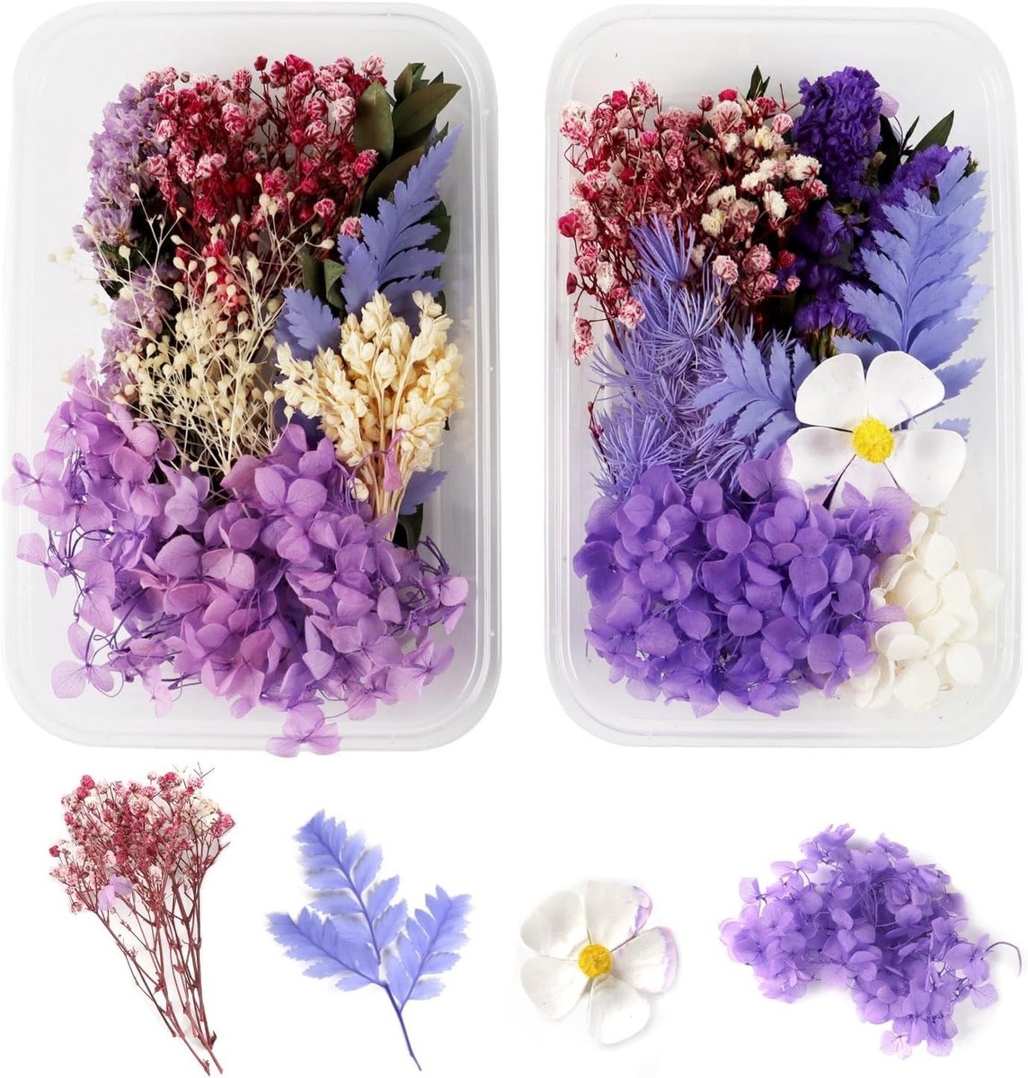 Set van 2 Natuurlijke Gedroogde Bloemen voor Creatieve Projecten, Persbloemen voor DIY, Scrapbooking en Kaarten Maken