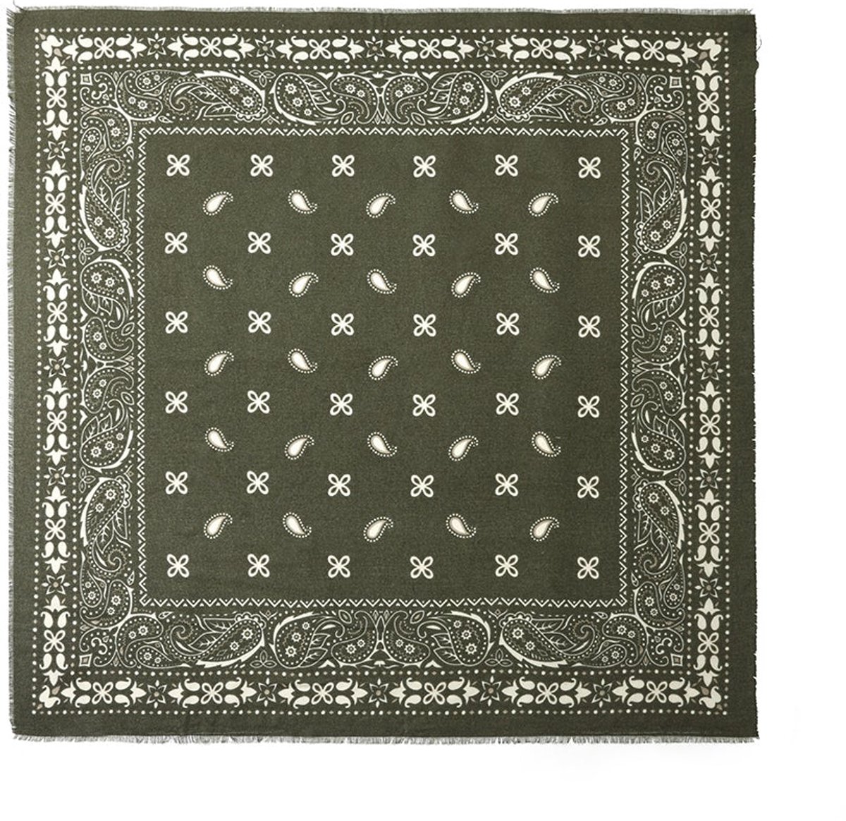Wintersjaals met paisley-patroon, casual, polyester, dagelijkse accessoires - Groen