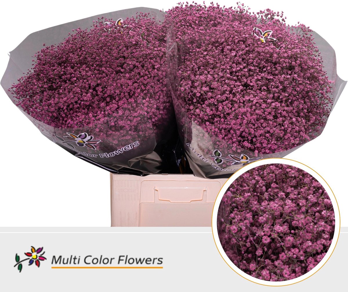 25x Gipskruid m.stars roze 70cm