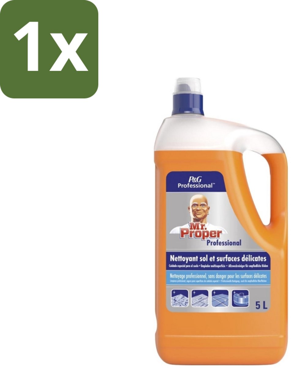 1 x Mr. Proper – Allesreiniger – Professional Delicate – 5 L - Allesreiniger - Vet Verwijderen - Vuil Verwijderen - Vlek Verwijderen - Hygiëne