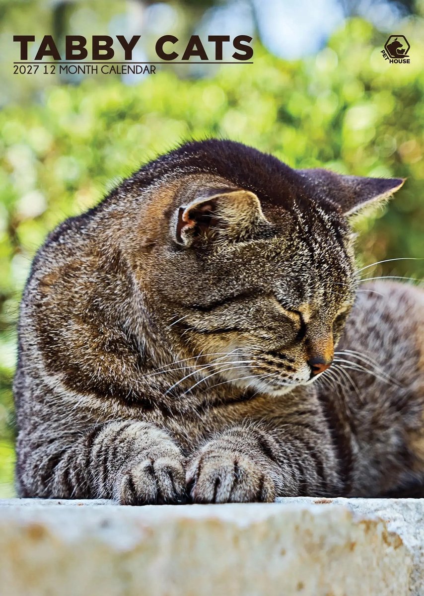 Cyperse A3 Katten Kalender 2027