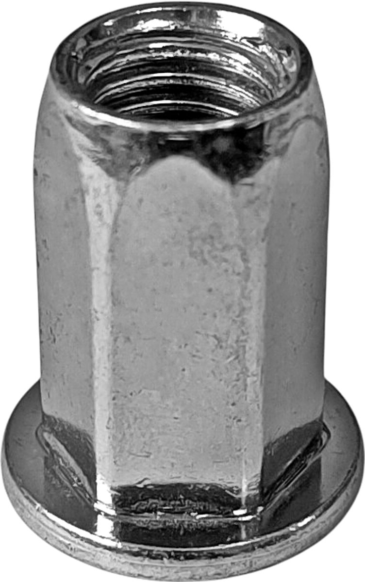 Schraper met M6 zeskantmoer (0,5-3mm), verzinkt, 250 st.