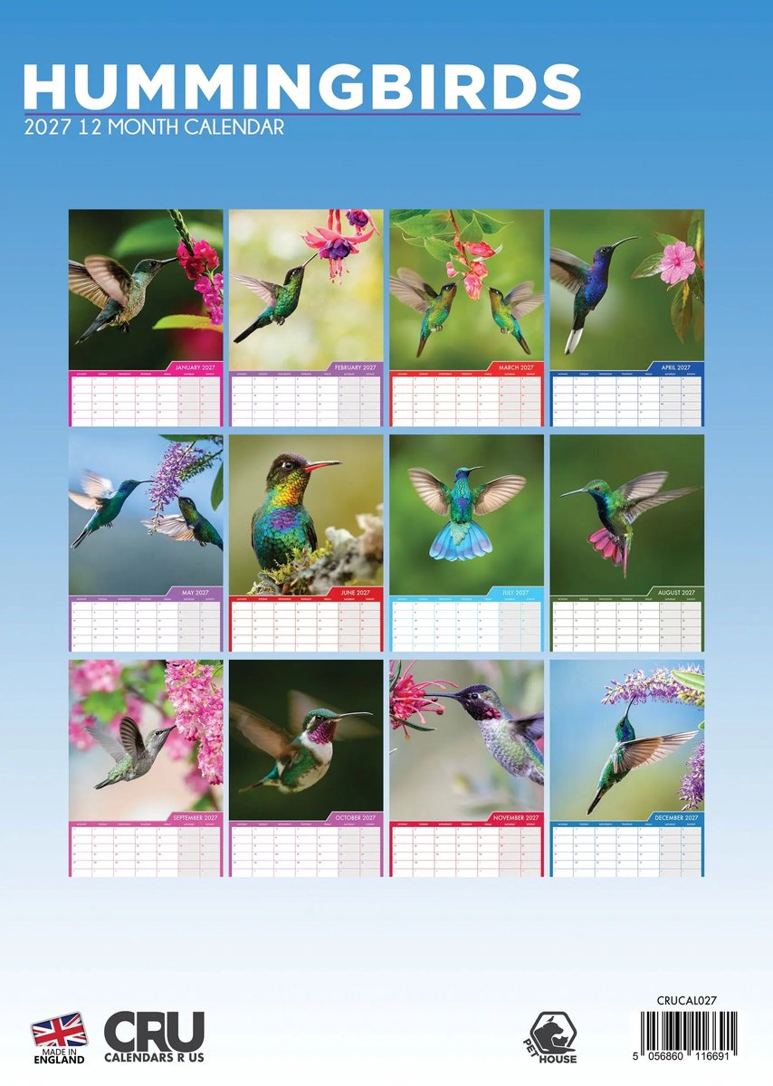 Kolibrie A3 Kalender 2027