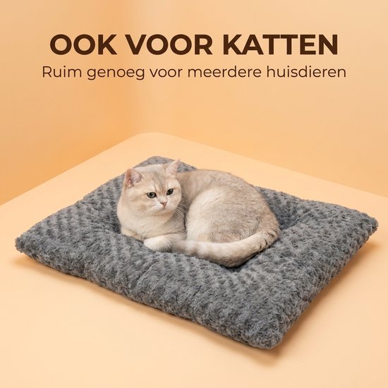 Katten slapen op een grijs, zacht hondenkussen.