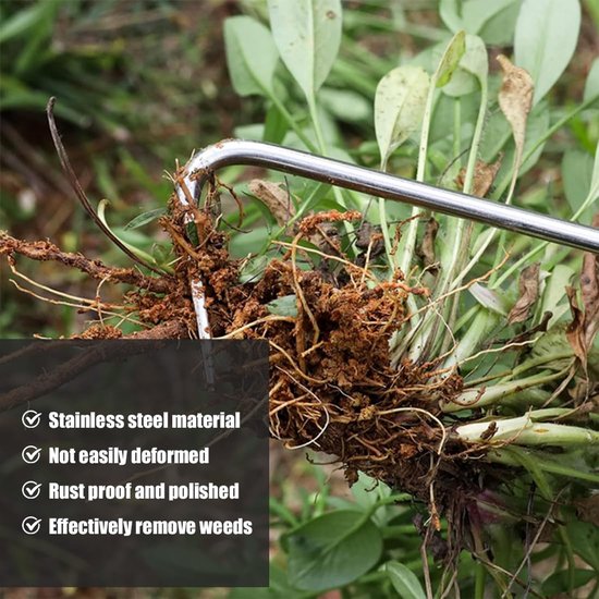 Allecto - Handmatige onkruidsteker - Tuingereedschap - Duurzaam roestvrij staal - Houten handvat - Voor wieden en verplanten - Ideaal voor tuinlief... van Merkloos	 — afbeelding 2