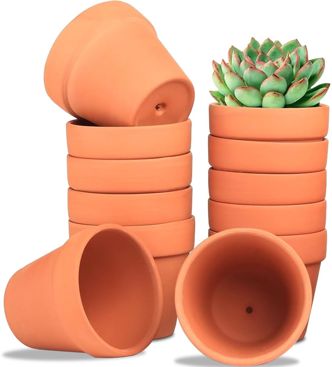 Dailygoods- Bloempot Klein - 12 Stuks - Terracotta - Afvoergaten - Geschikt Voor Binnen/Buiten - Diameter 7 cm - Hoogte 6 cm - Plantenpot