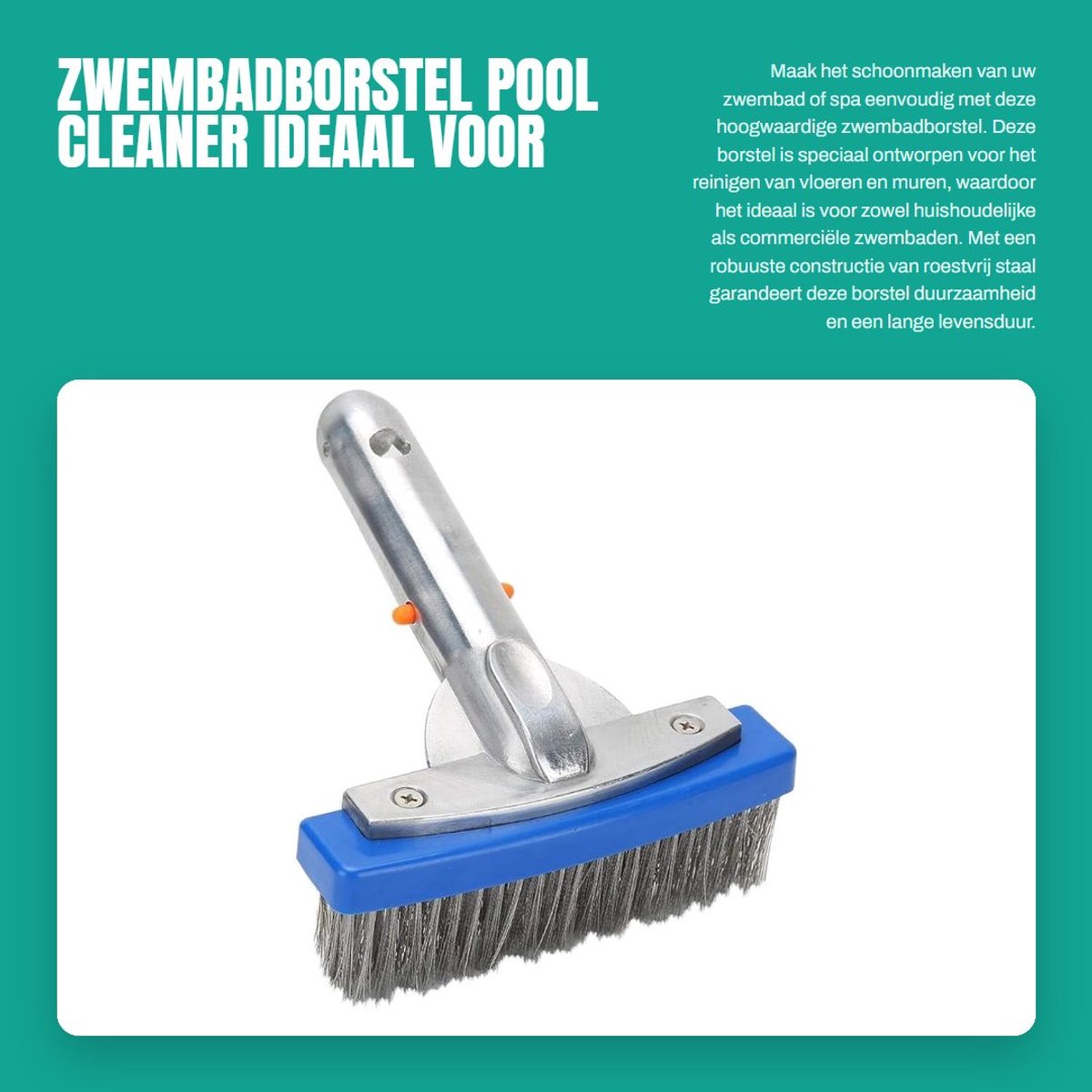 Dailygoods- Zwembadborstel 15 cm - Roestvrij Stalen Borstel - Vloer/Wand Reiniger - Lichtgewicht - 168 g - Voor Hardnekkige Vlekken - Zwembadreiniger