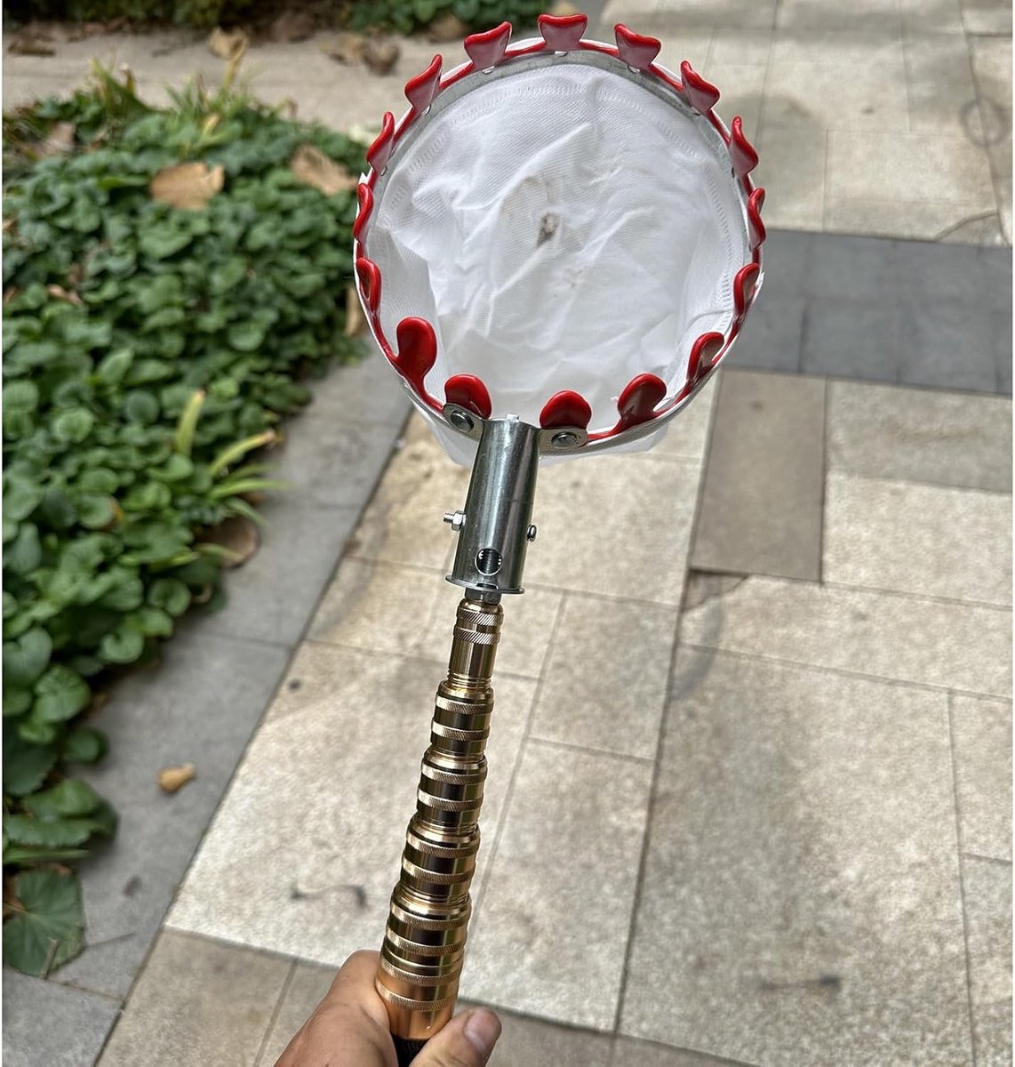 Fruitplukker Telescopisch - Oogstgereedschap Lange Steel - Fruit Oogsten - Roestvrij Staal - 2 tot 10 Meter - Zilver