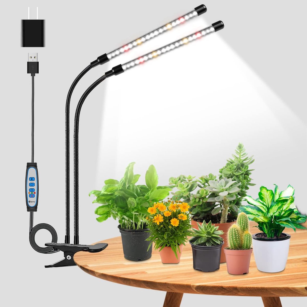 Kweeklamp Kamerplanten - Plantenlamp LED - Planten Groei - Full Spectrum Licht - 10 Watt - Zwart