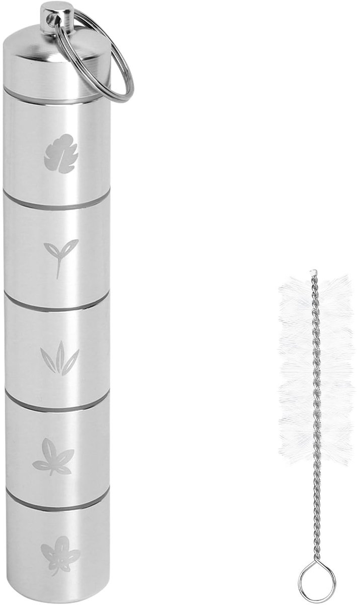 Dailygoods - Mini-kruidenpotjes, 5-in-1, mini-zoutvaatje voor onderweg, roestvrij staal, draagbare kruidenpotjes met 1 reinigingsborstel voor outdoor, picknick, barbecue, reissenkokers