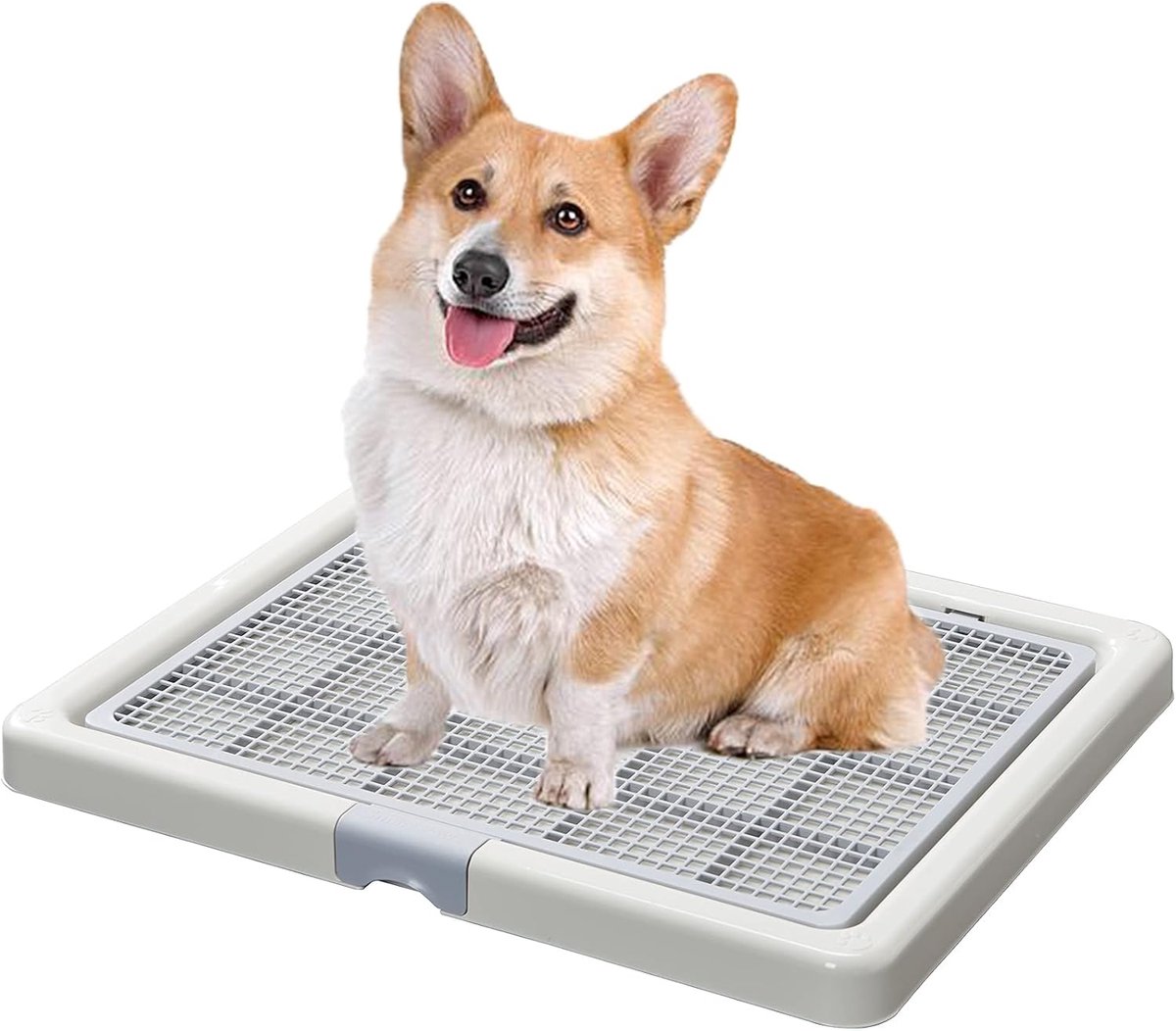 Hondentoilet - Zindelijkheidstrainer - Zindelijkheidstraining Honden - Antislip Onderkant - 65x52 cm - Grijs