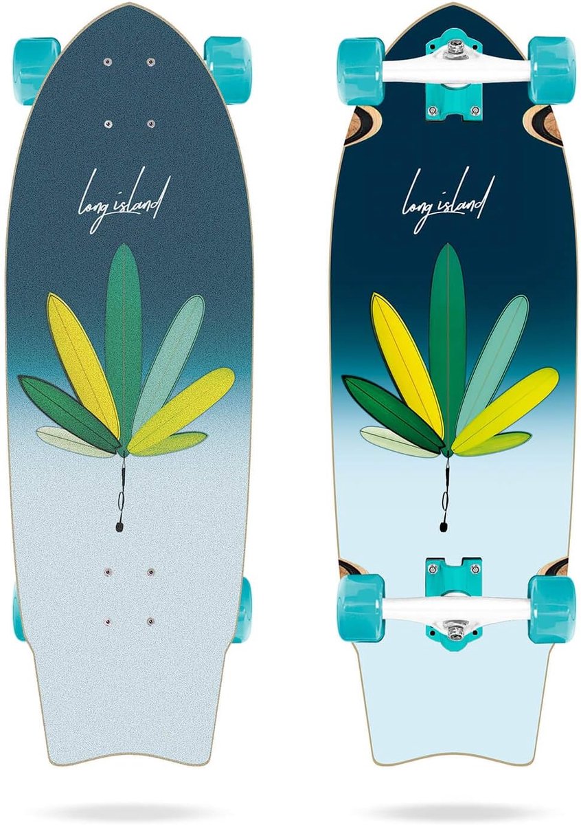 Longboard Cruiser Skateboard Stad Verplaatsen Hoge Kwaliteit 28 inch Multi