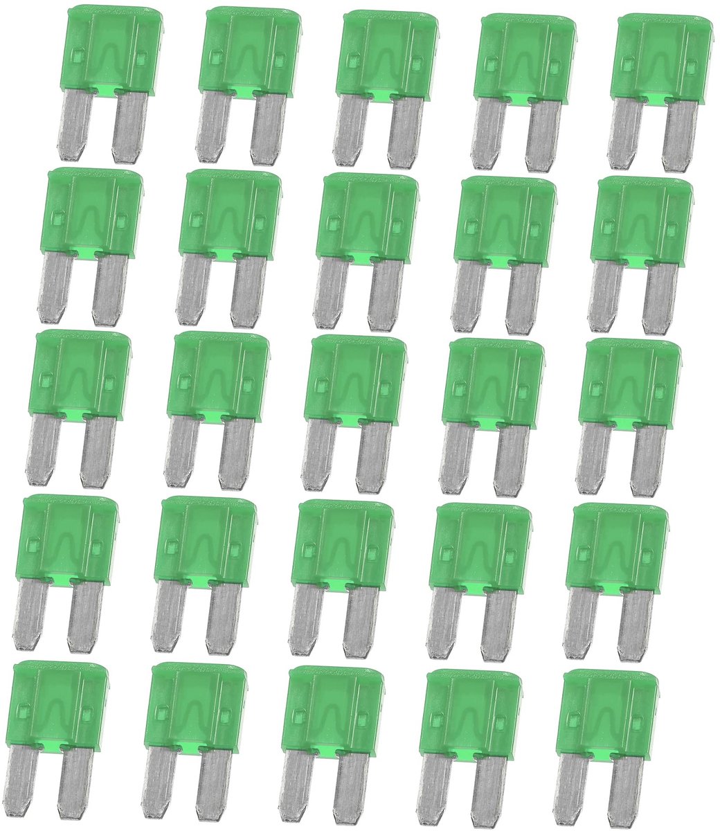 Dailygoods - 30A Mini Meszekeringen voor Auto Vrachtwagen Motor Groen (25 stuks)