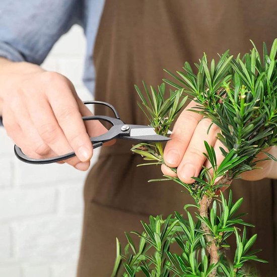 16-Delige Bonsai Gereedschapset: Schaar, Hark, Schep en Draad voor Snoeien en Onderhoud van Merkloos	 — afbeelding 4
