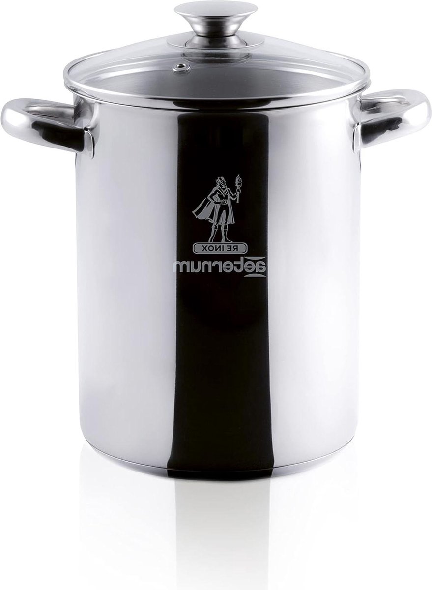 Aspergepan - Kookpan mand - Asperges Koken - Met Uitneembare Mand - Diameter 16 cm - Zilverkleurig