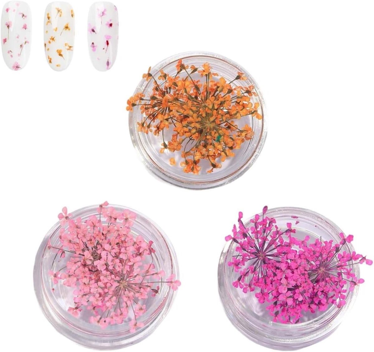 Nail Art Droogbloemen - Nageldecoratie Set - Nagels Versieren - Natuurlijke Bloemlook - 123 x 68 x 13 cm