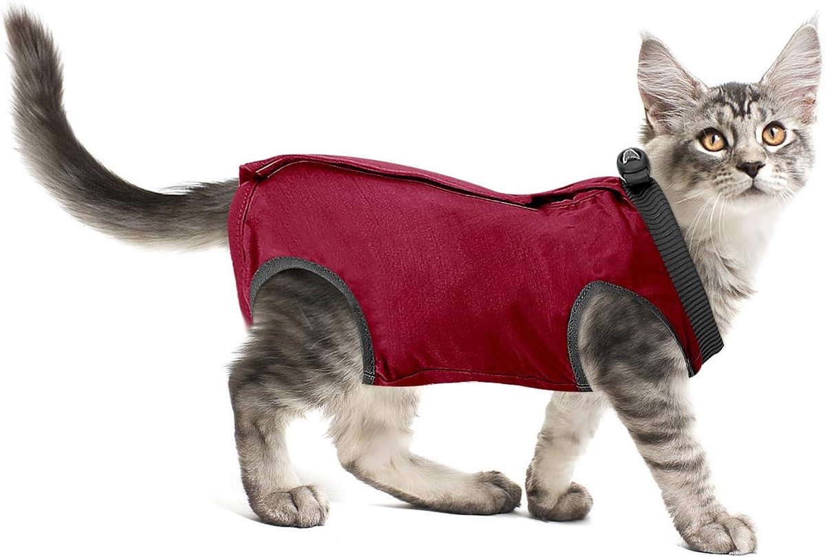 Herstelpak Kat - Postoperatieve Kleding - Wondbescherming Huisdier - Ademend Modalvezel - Maat S - Rood
