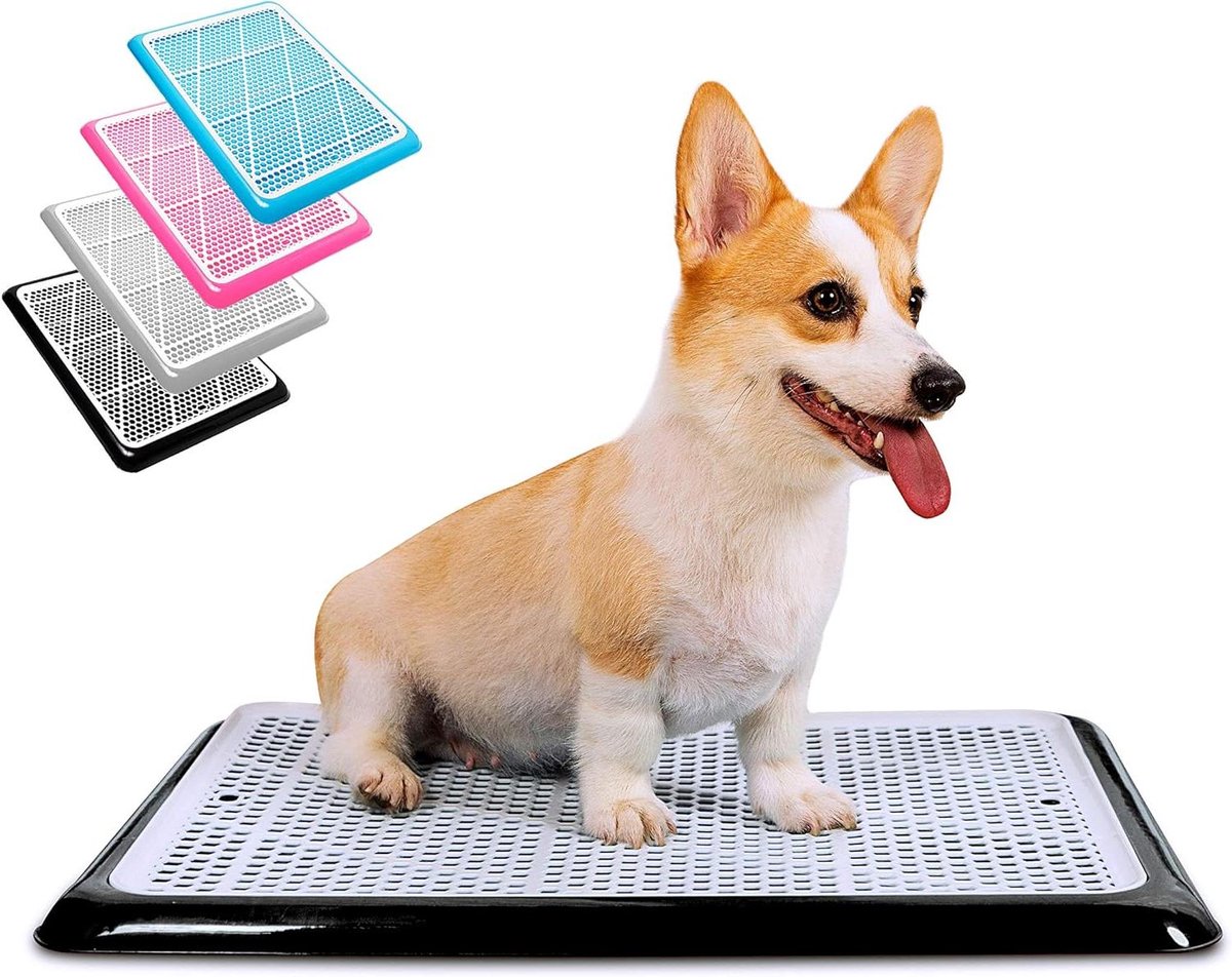 Hond Potty Tray - Puppy Plasmat Houder - Zindelijkheidstraining Binnen - Glad Plastic Oppervlak - 25x20 Inch - Grijs