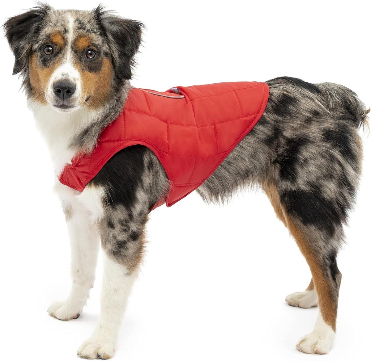 Hondenjack Omkeerbaar - Winterjas Hond - Warm Houden Hond - Waterbestendig Ripstop - XS - Rood Houtskool
