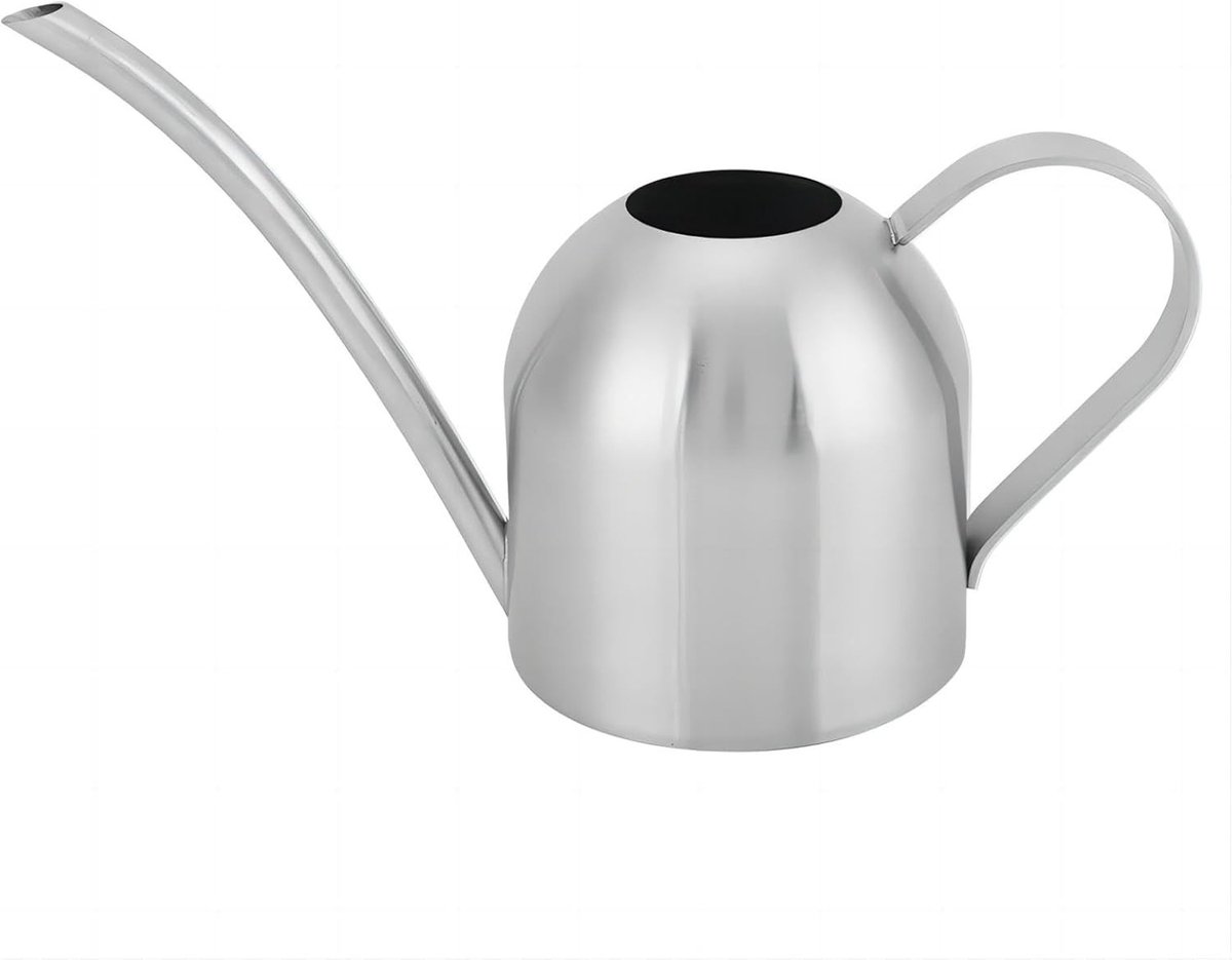 Stainless Steel Watering Can, 1000 ml, Small Watering Can with Long Spout, Houseplant Sprayer, Flower Watering Can Bonsai, Mini Watering Can for Office, Home, Balcony, Garden, Plants (Silver)