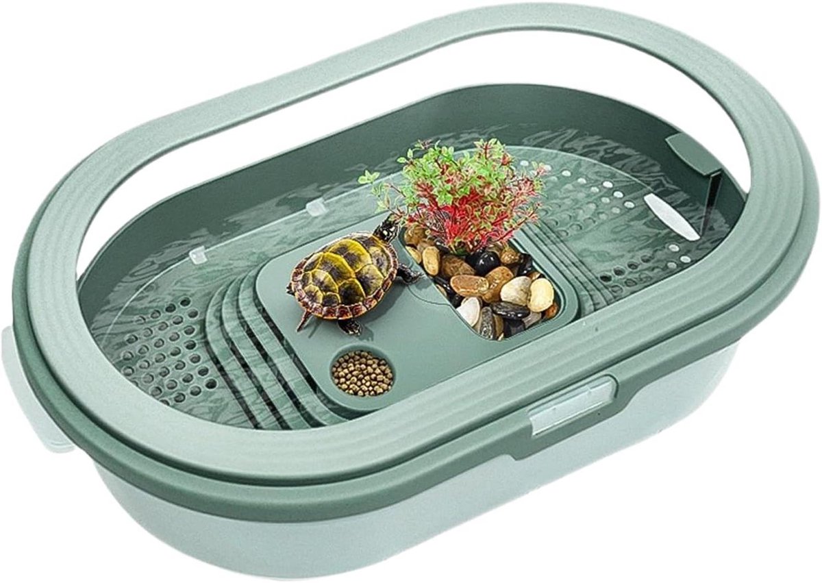 Schildpadden Terrarium - Rust Aquarium - Reptielen Huisvesten - Wetenschappelijke Indeling - 345 x 205 x 9 cm - Groen