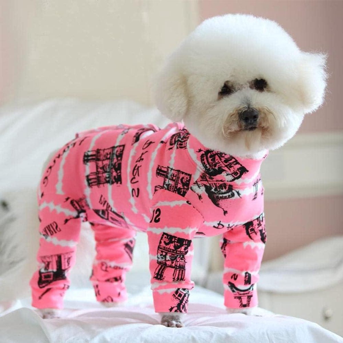 Hondenkleding Romper - Honden Overalls - Huisdier Warm Houden - Zacht Katoen Polyester - 14 inch - Print