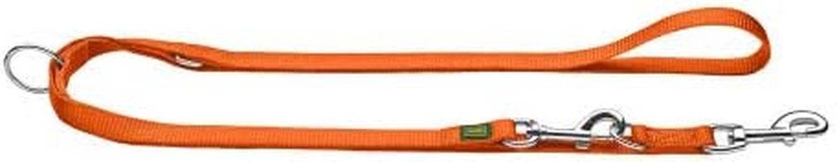 Verstelbare Hond Riem - Hondenlijn Nylon - Dagelijkse Wandeling - 3-voudig Verstelbaar - 10/200 - Oranje