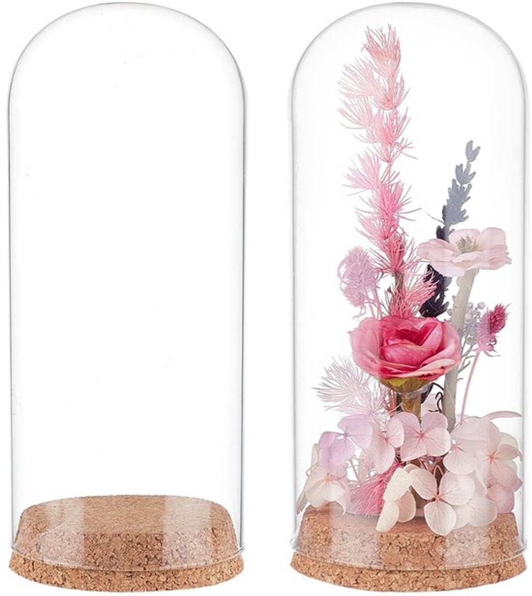 Glazen Display Koepel 2 Stuks 8 x 20 cm - Met Kurken Basis voor Bloemplanten en Decoratie