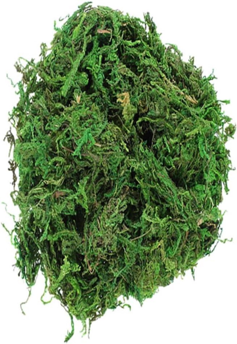 Gedroogd Mos - Decoratief Mos - Bloemschikken DIY - Natuurlijk Uiterlijk - 3 zakken - Groen