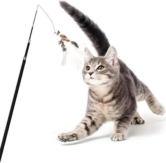 Interactief speeltje voor katten met 12 veertjes, 2 wands en 10 vervangbare veren voor uren speelplezier — afbeelding 4