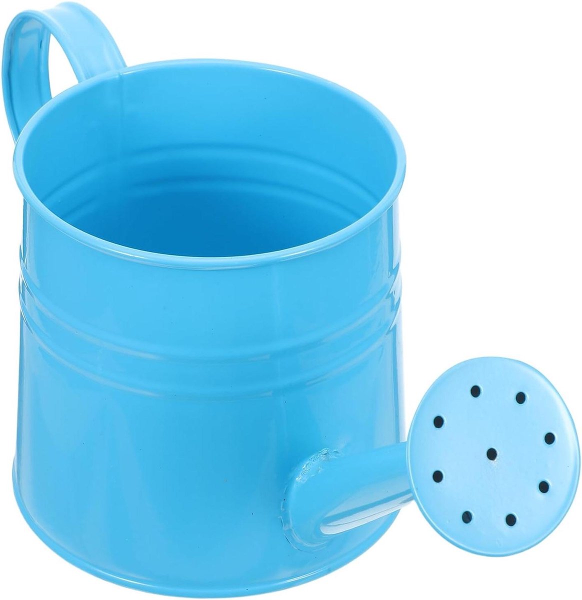 Metalen Gieter - Tuingieter Sproeier - Planten Water Geven - Fijne Sproeikop - 27 x 11.8 x 11 cm - Blauw