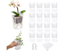 16 stuks - Zelfbewateringspotten set - zelfwaterende plantenbak - kamerplant pot - met drainagegaten en vochtigheidsindicator - transparant - 3,8 cm x 8 cm - voorkomt wortelrot - ideaal voor zaailingen, stekjes, vetplanten