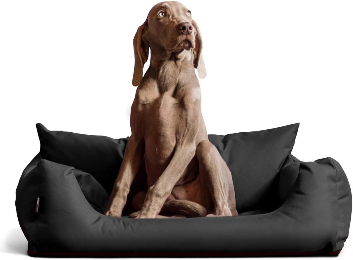 Huisdier Mand - Hondenbed Kattenbed - Comfortabel Rusten - Ademend Spanvlies - 65 cm - Grafiet Grijs