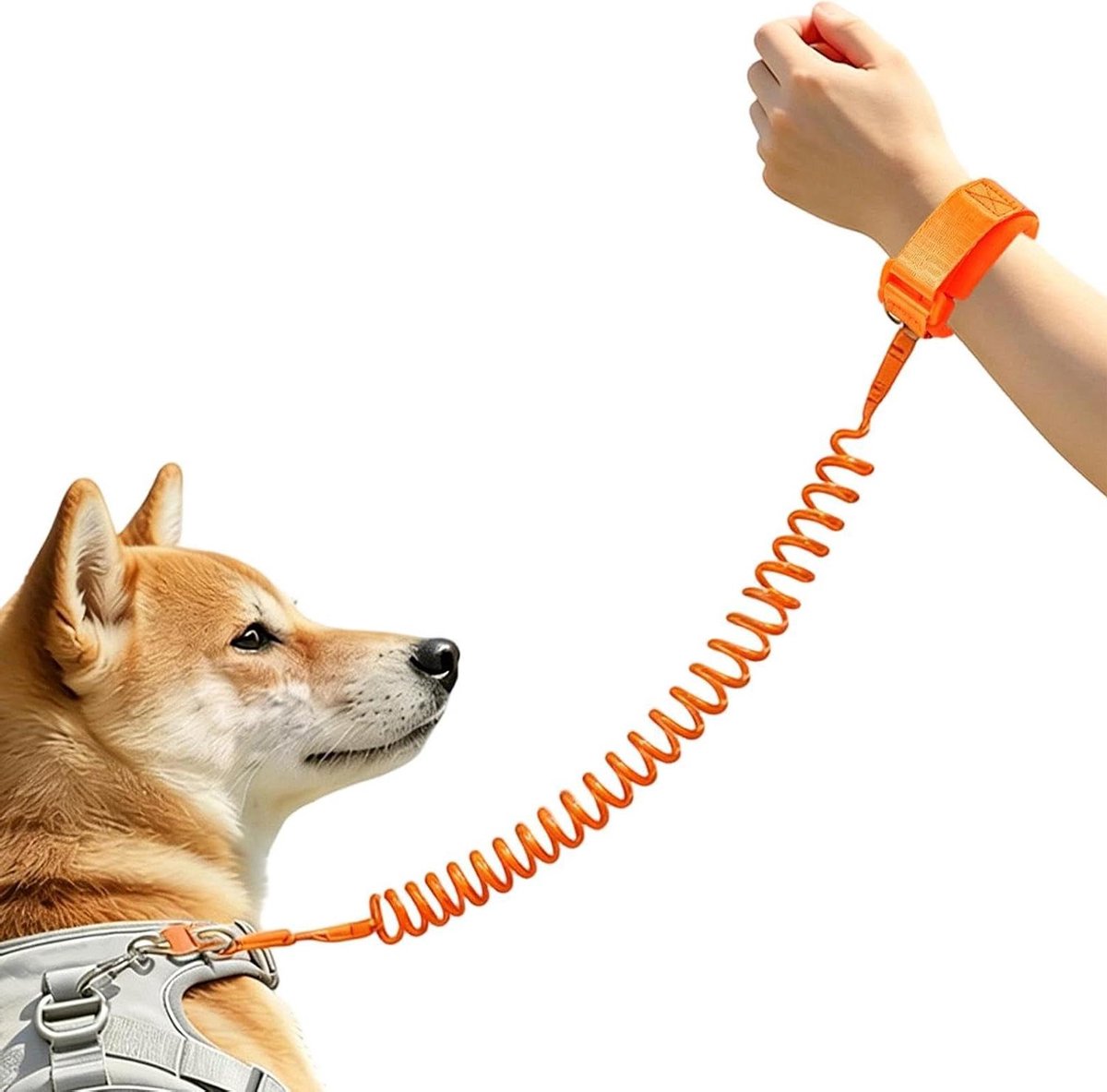 Intrekbare Hondenriem - Hondenlijn Flexi - Veilig Wandelen - Reflecterende Veiligheidsstrip - 60-250 cm - Oranje