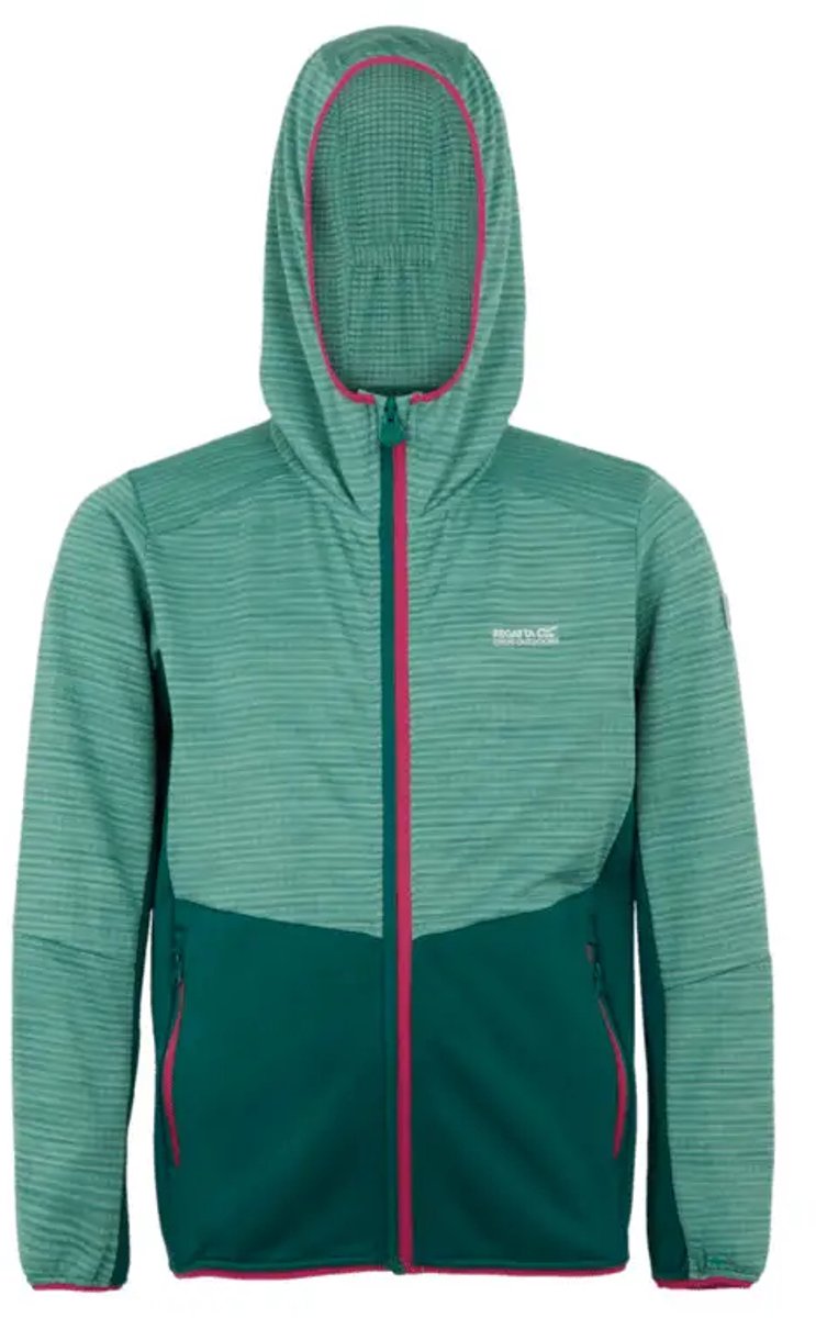 Kinder softshell jas Regatta Prenton III Groen