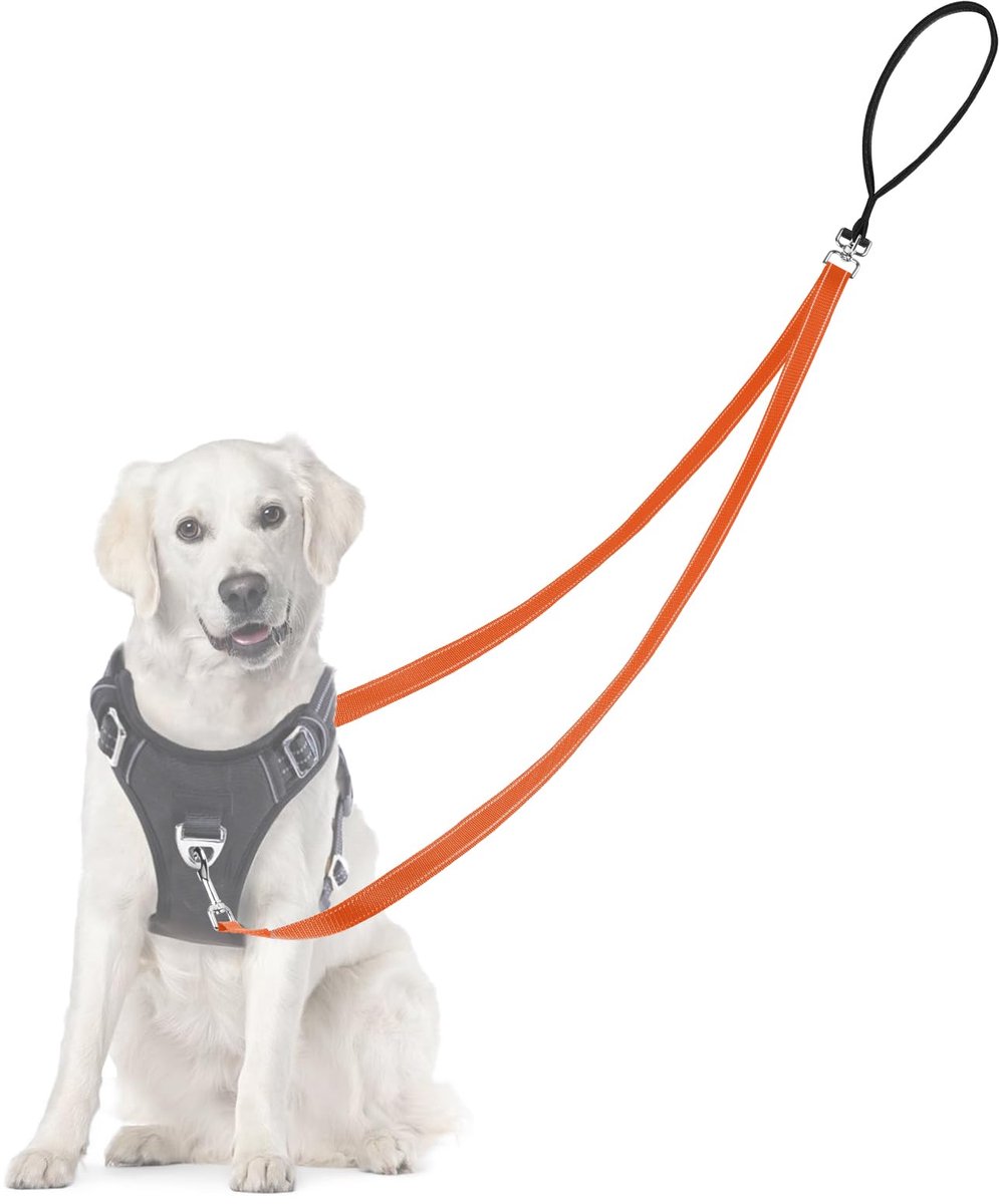 Hondenriem met twee puntscontrole - professionele anti-trek riem - reflecterende stiksels - ShopVlot