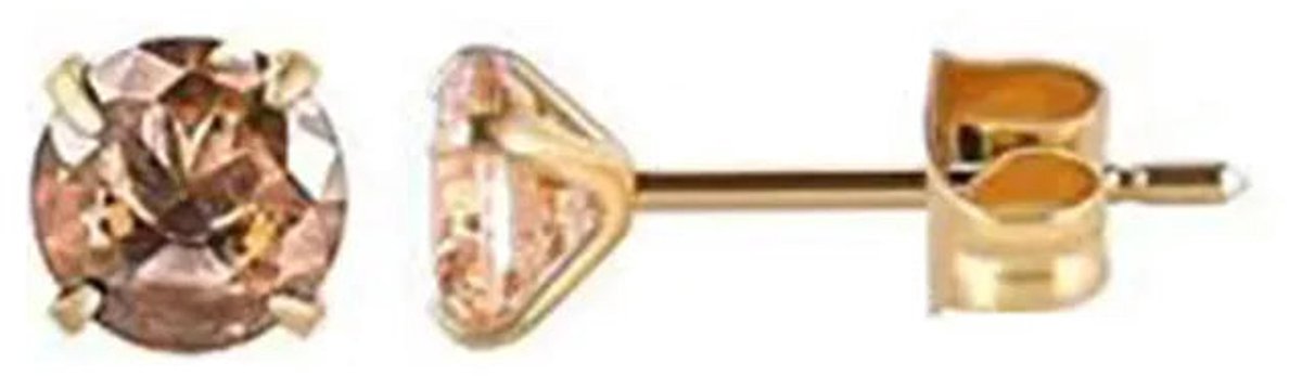 Stalen Ronde Oorstekers Goudkleurig Zirkonia 5 mm – Champagne