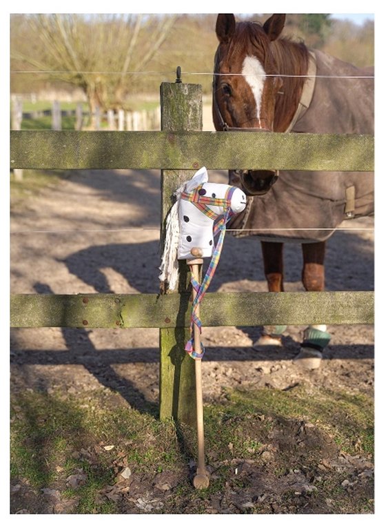 Goki Houten Stokpaard Wit van goki — afbeelding 2