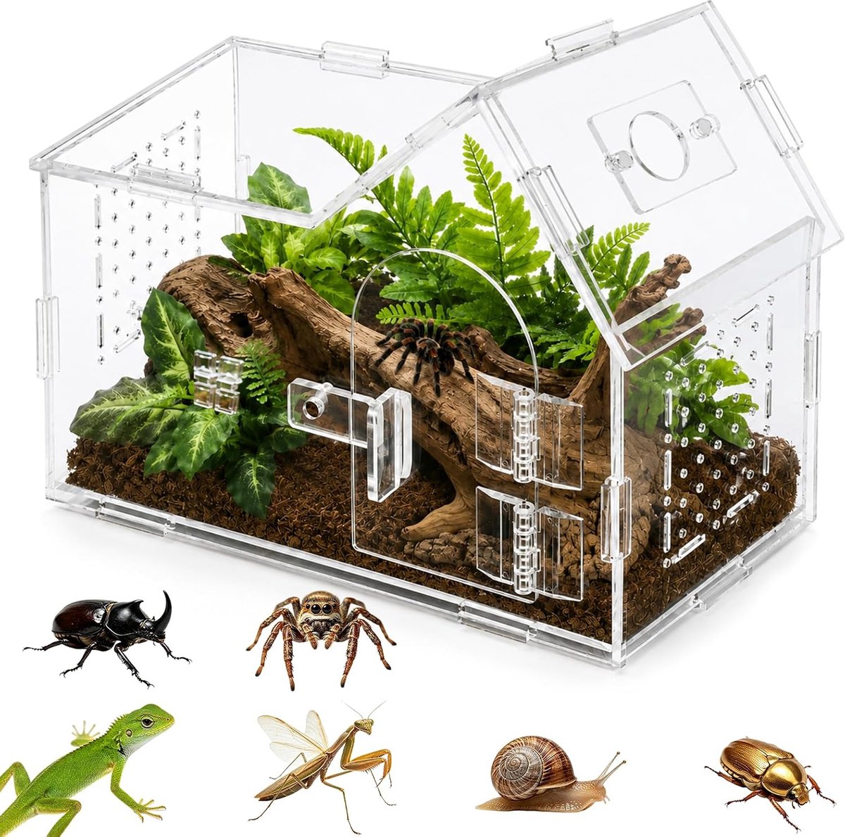 KOUHA Reptile Terrarium Box Feeding Box Acrylic Terrarium with Tweezers Transparent Portable Reptiles Fauna Box for - ShopVlot