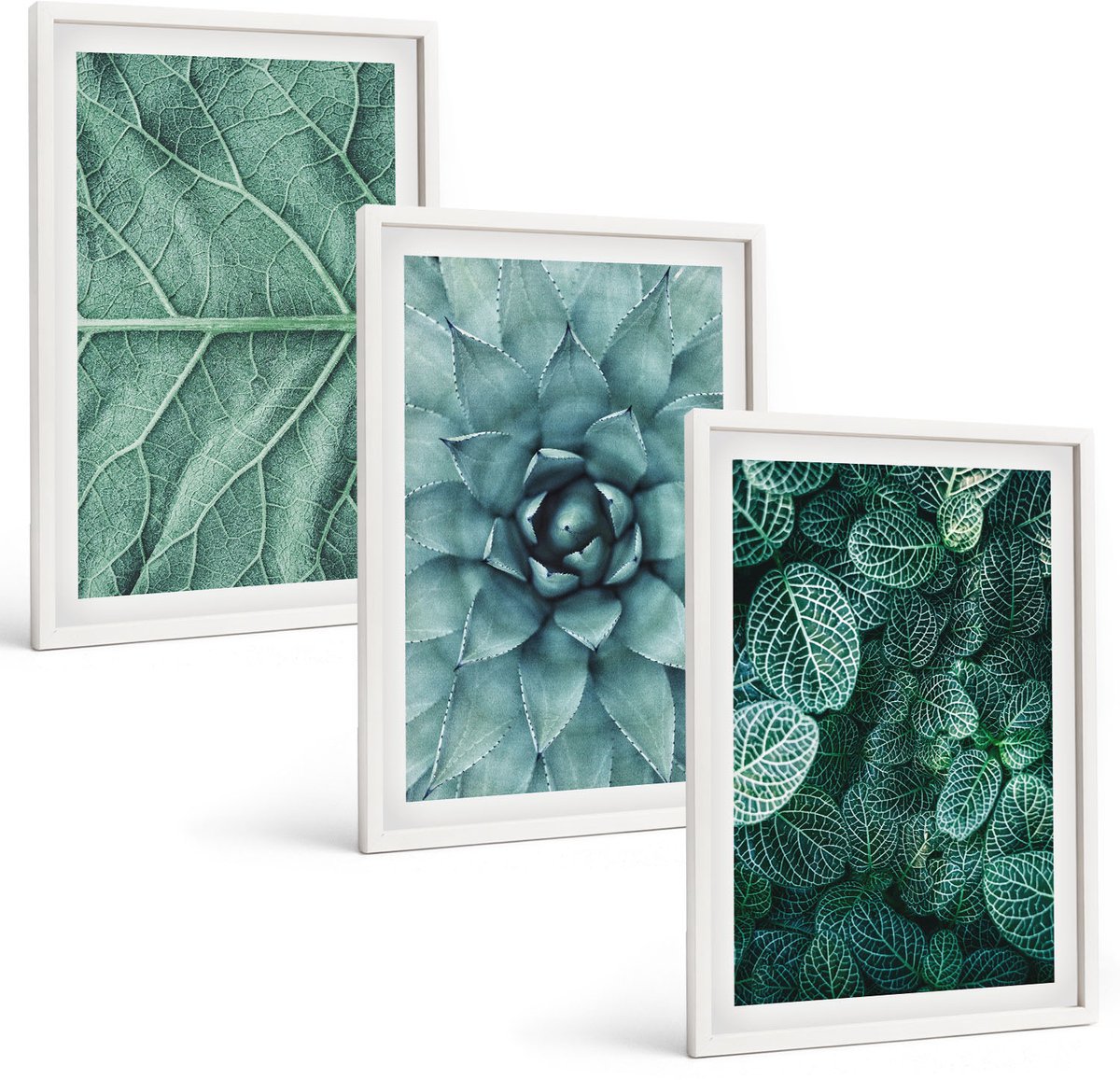 Wallfluent 3-Delige Schilderij Set - Close-Ups Van Planten, Bladeren En Vetplanten - 40 x 60 - Moderne Wanddecoratie - Woonkamer - Interieur Decoratie