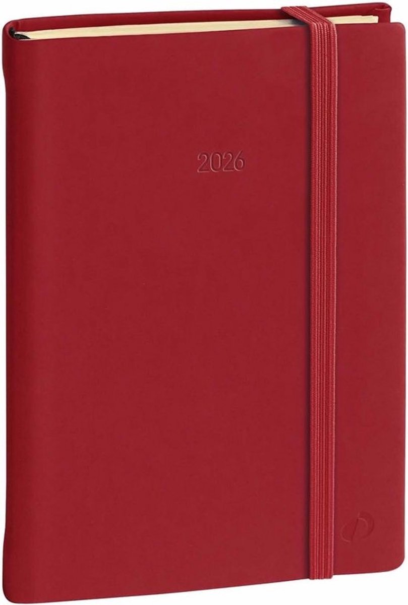 Daily 17 Silk rot 2026: Dagagenda voor schooljaar 2026/2027