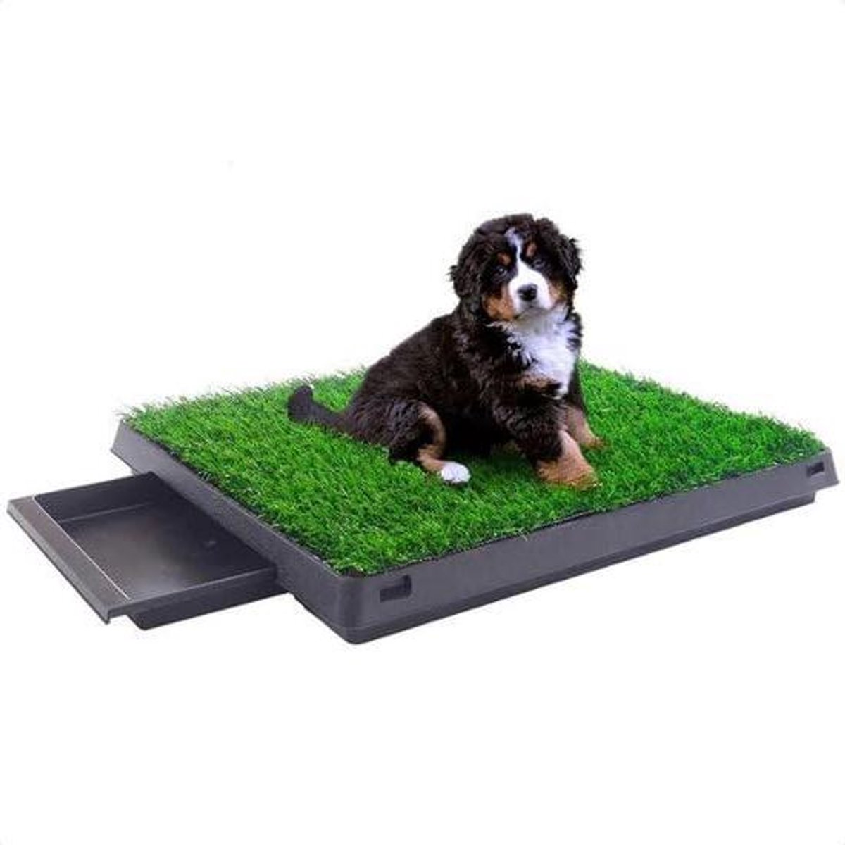 Hondentoilet - Hondenplasbak - Puppy Training - Uitneembare Opvangbak - 50x64 cm - Groen