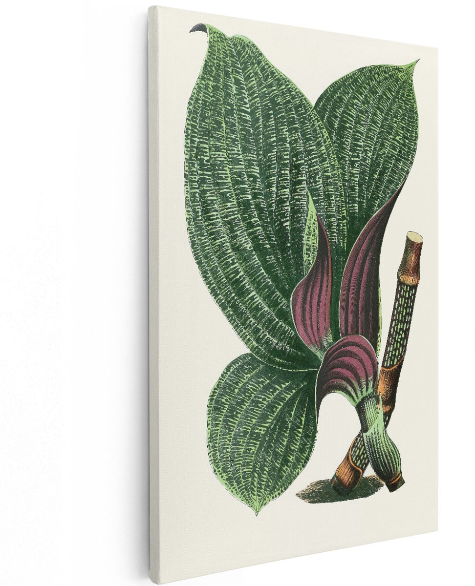 Artaza Canvas Schilderij Botanische Plant - 120x180 cm - Groot - Wanddecoratie Vintage - Muurdecoratie Groene Bladeren - Decoratie Woonkamer