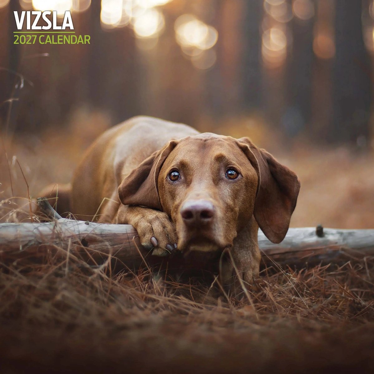 Vizsla Kalender 2027